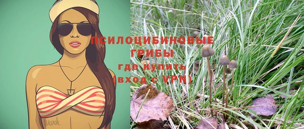 прущие грибы Нягань