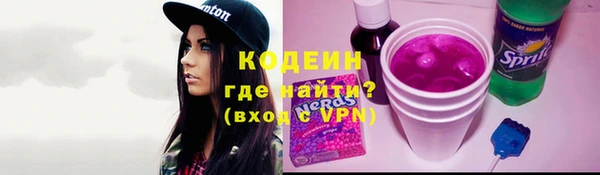 прущие грибы Нягань