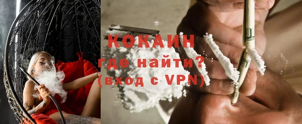 прущие грибы Нягань