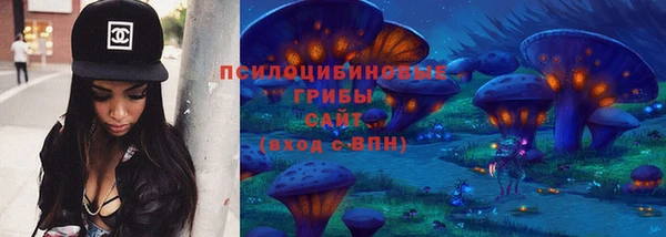 прущие грибы Нягань